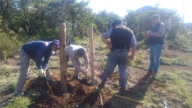 Personal de la CIP desmontó alambrados que delimitaban terrenos ilegales cerca del lago Nompehuen