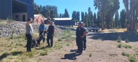 Perro pruebas incendio intencional