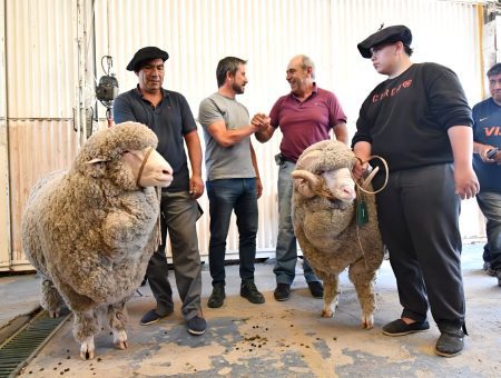 Exposición Ganadera y Feria del Carnero