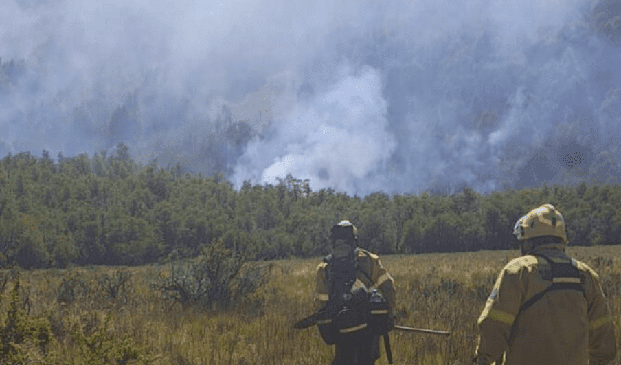 Incendio en el Parque Nacional Lanín