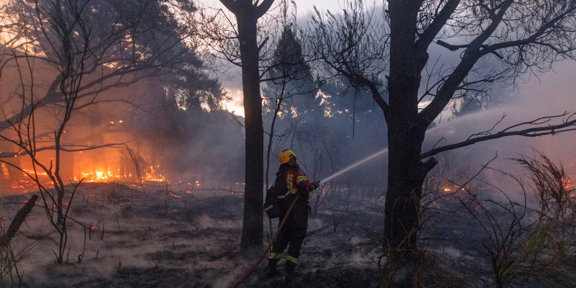 Gobierno Mapuche incendios en Patagonia