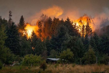 Patagonia enfrenta peores incendios