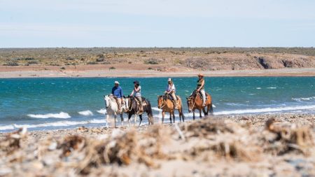 Cabalgata en Bahía Bustamante