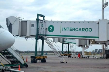 Avanza privatización de Intercargo