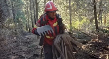 Incendio en El Pedregoso