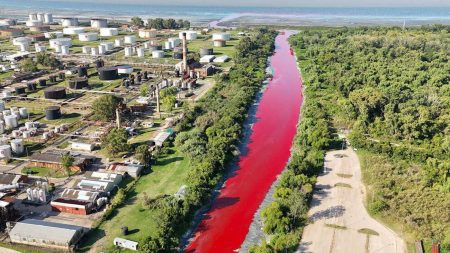 Arroyo Sarandí rojo