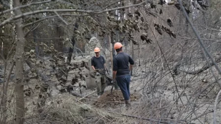 Continúan refuerzos incendio en El Bolsón