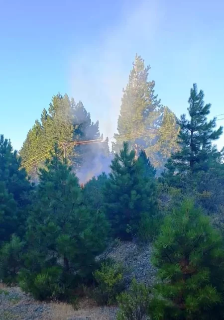 Nuevo intento de incendio cholila