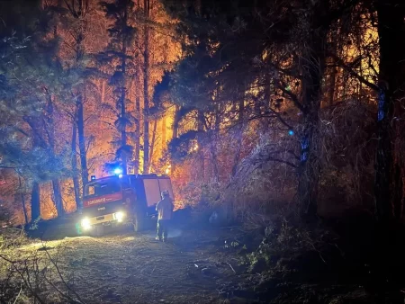 Avanza el fuego en la Cordillera