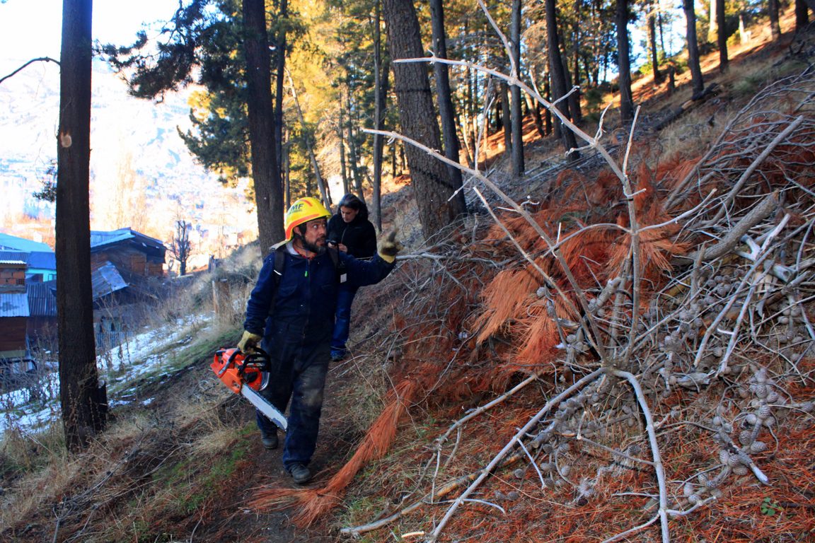 Esquel trabajos preventivos en bosques