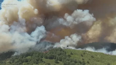 Incendios Patagonia cortaron paso fronterizo