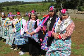 Comunidades mapuche