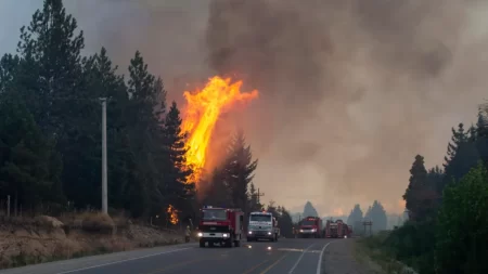 Familiares incendios de El Bolsón