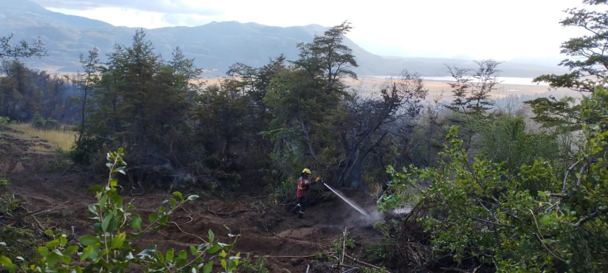 Incendios Parque Los Alerces