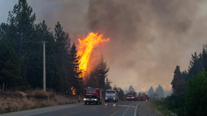 Incendios en la Patagonia este sábado