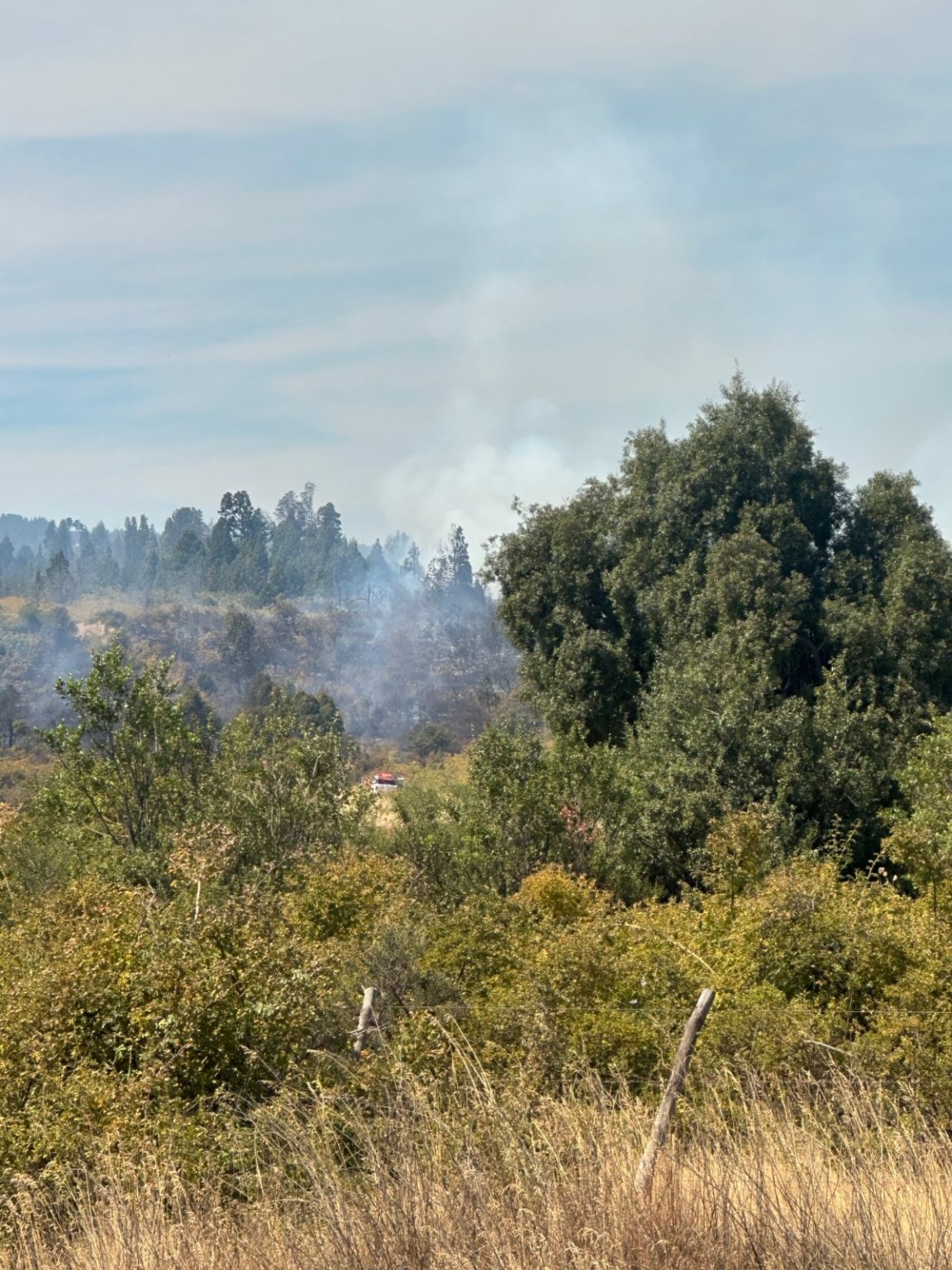 Incendios Los Cipreses