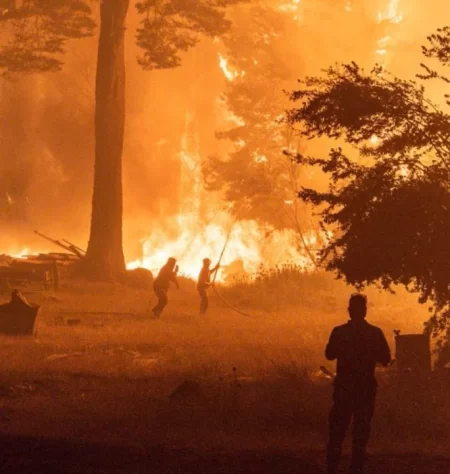 Incendios en la Patagonia