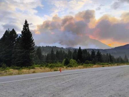 Incendio en El Pedregoso