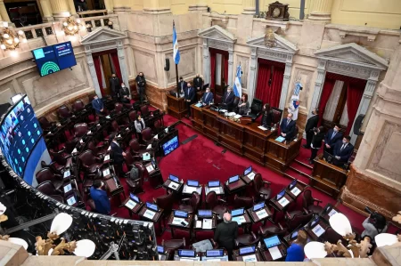 Crisis Senado Argentina