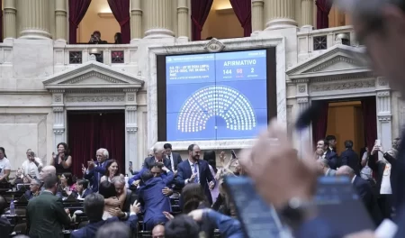 Diputado en sesión