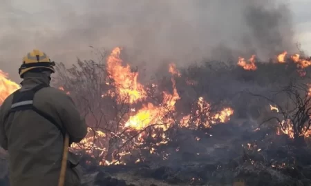 Incendio controlado Ruta 3