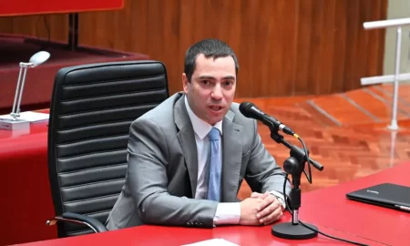 Giacomone sesión legislativa