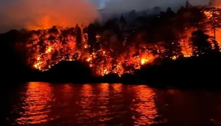 Incendios Patagonia arrasan hectáreas