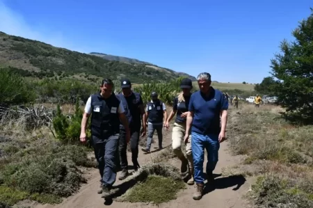 Rolando Figueroa incendios