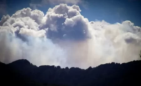 Incendio Parque Nacional Lanín