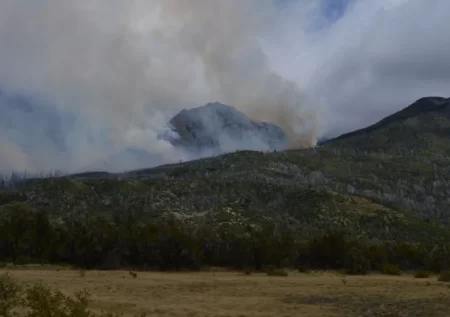 Incendio en Parque