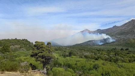 Parque Nacional Los Alerces