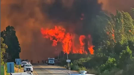 Incendio en El Bolsón