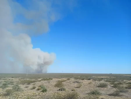 Incendio de pastizales