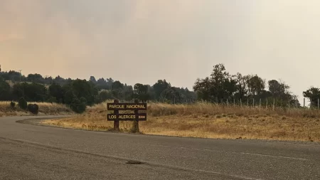 Tránsito en Ruta Los Alerces