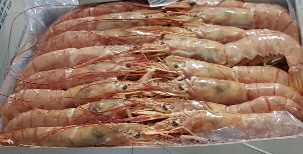 Langostino argentino certificado