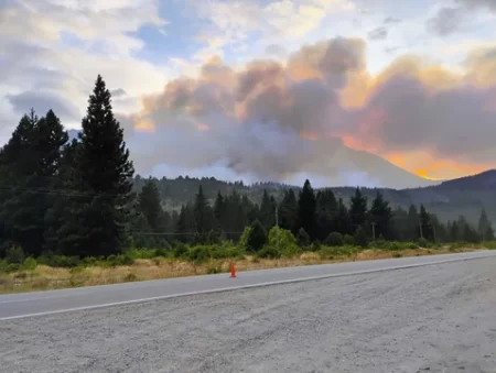 Incendio forestal Ruta Nacional 40