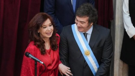 reacción Milei sanción Cristina