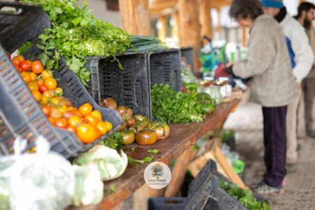 Feria agroecológica Lago Puelo