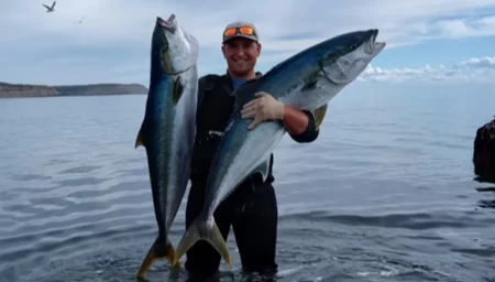 Pez limón capturado en aguas patagónicas