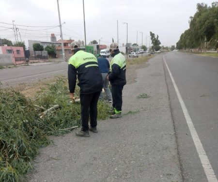 Rawson refuerza trabajos temporal