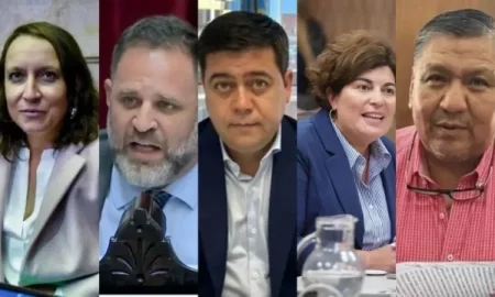 FMI votación diputados Chubut