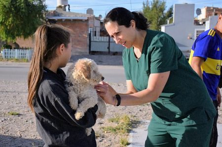 Quirófano móvil: 30 esterilizaciones