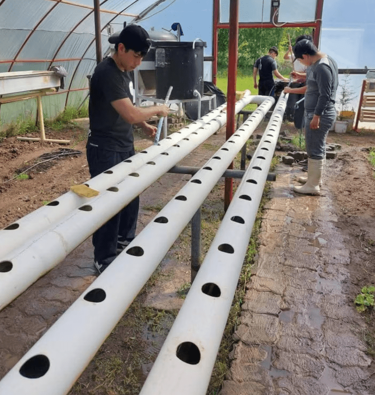 Entre otras cosas, los alumnos cosechan mejillones que venden vivos a vecinos de Camarones y a restaurantes (Foto gentileza escuela 721 Caleta Hornos)