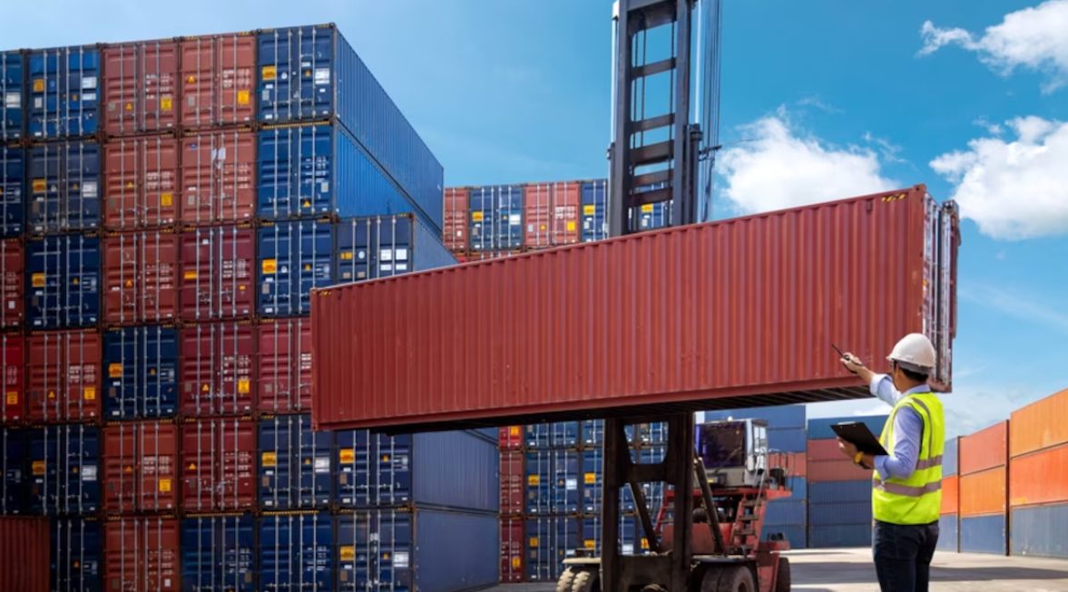 Milei crecimiento económico de importaciones