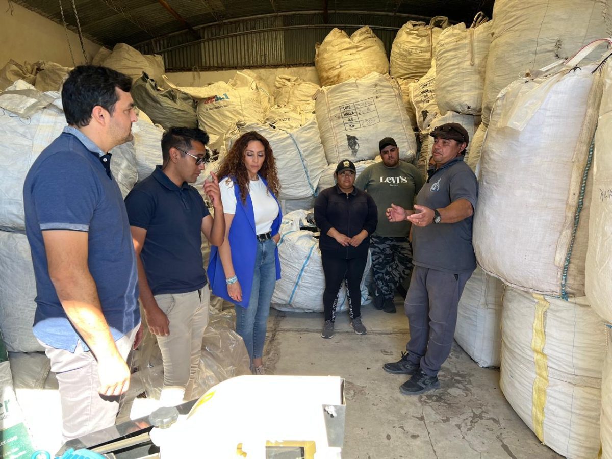 Programa de capacitación en oficios