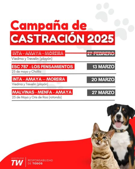 Quirófano móvil de perros y gatos