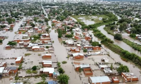 Distribución de lavandina ABSA