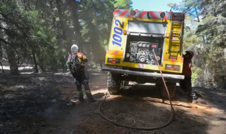 Incendio sofocado El Pedregoso