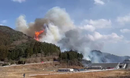 Japón combate incendio forestal