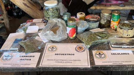 Secuestran marihuana Lago Puelo